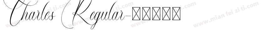 Charles Regular字体转换